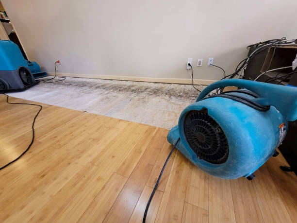 Professional Basement Flood Cleanup technician working in York Haven, PA